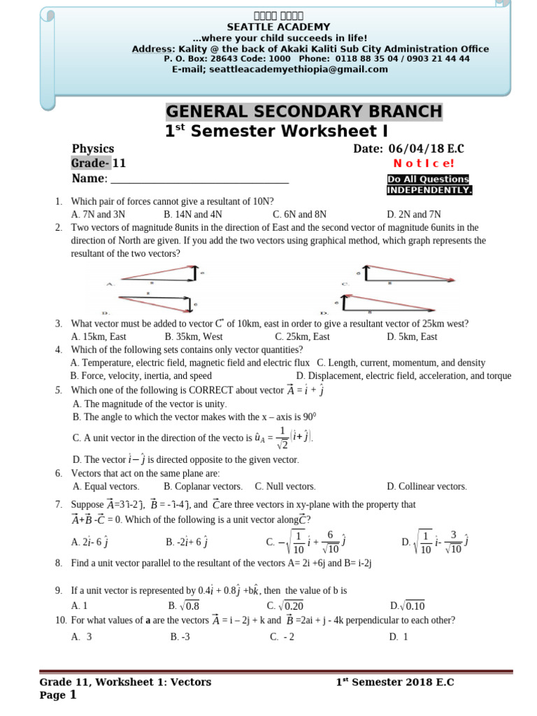 Grade 11 Physics Vectors Worksheet | PDF | Euclidean Vector | Velocity