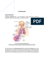 Pulmones. Estructura y Función