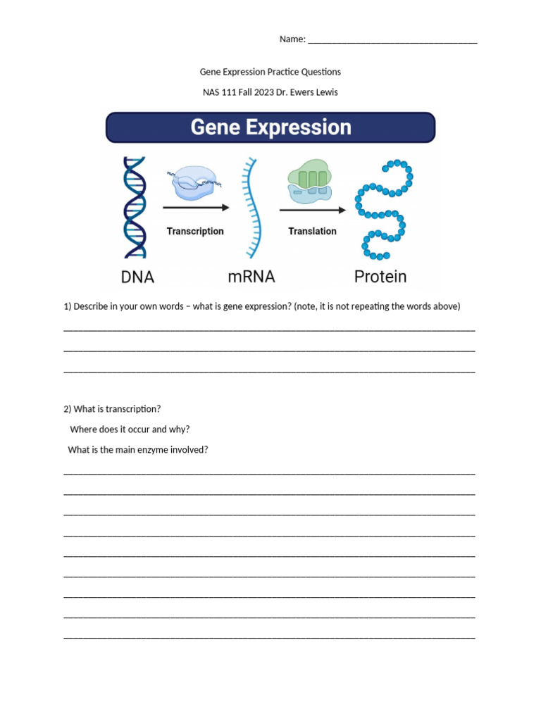 Gene Expression Practice Questions Guide | PDF | Dna | Gene