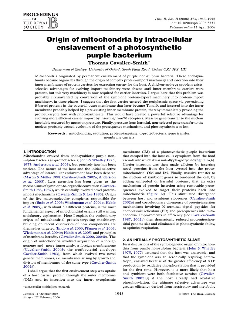 Evolution of Mitochondria from Bacteria | PDF | Mitochondrion ...
