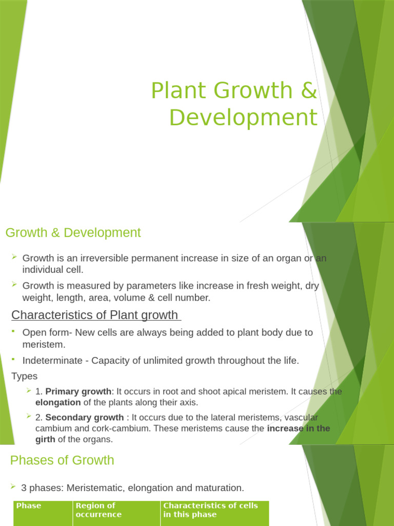 Understanding Plant Growth and Development | PDF | Plant Hormone | Seed