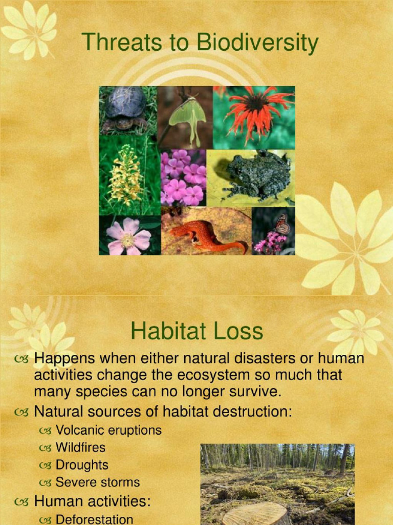 Over Exploitation Threatened Living Species. | PDF