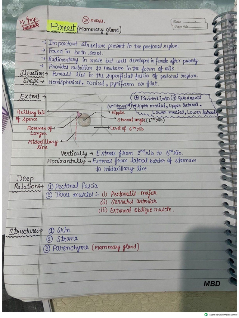 Upperlimb Short Note ( Hand Writing by MBD) | PDF