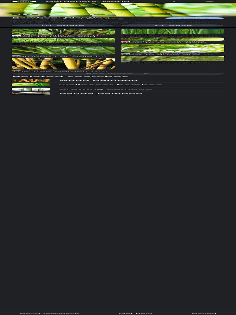Bamboo - Google Search | PDF