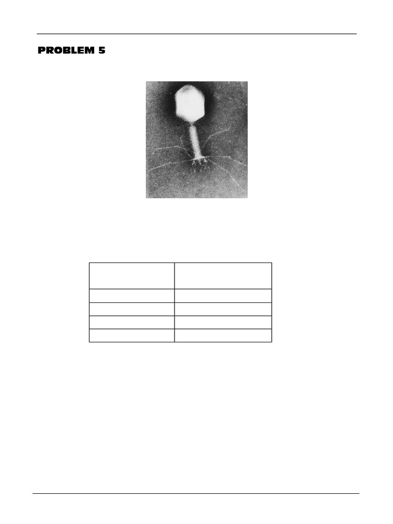 Chemistry Olympiad 2000: DNA Problems | PDF | Dna | Adenosine Triphosphate