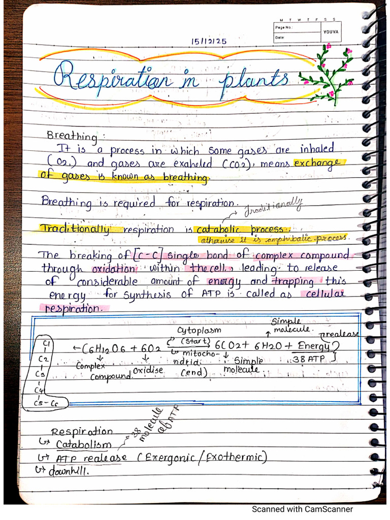 Respiration in Plants New Notes | PDF