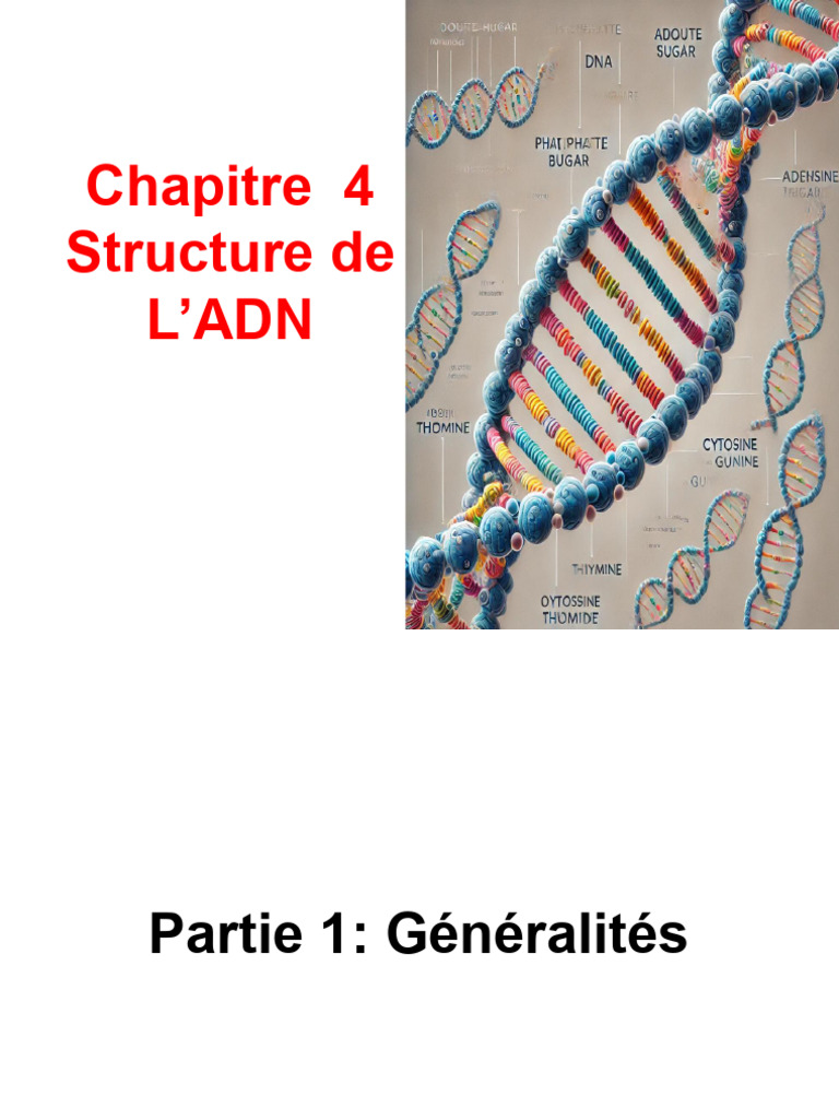 Structure et Composition de l'ADN | PDF | Nucléotides | Acide nucléique