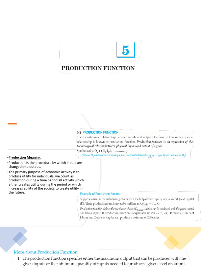Understanding Production and Utility | PDF