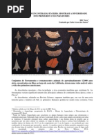 Ferramentas Encontradas Em Ilha Mostram a Diversidade Dos Primeiros Colonizadores - Fabio Grossi dos Santos