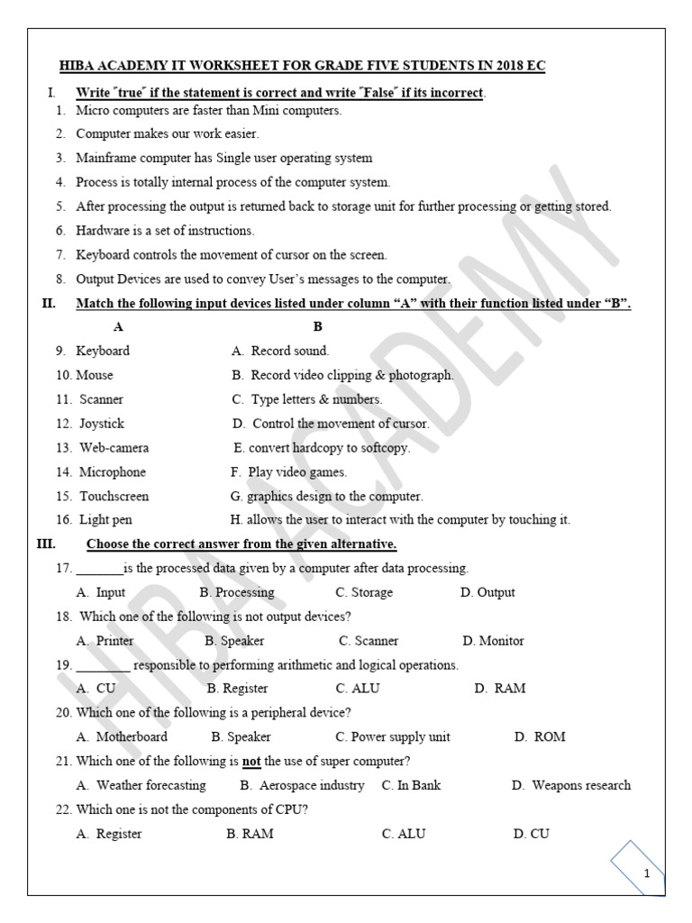 Grade 5 IT Worksheet: Computer Basics | PDF | Microcomputers | Computer ...