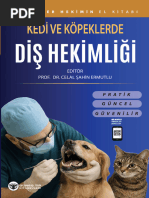 VCD Amplifier “hide” Veteriner Akademik Ve Teknik Calismalar | PDF