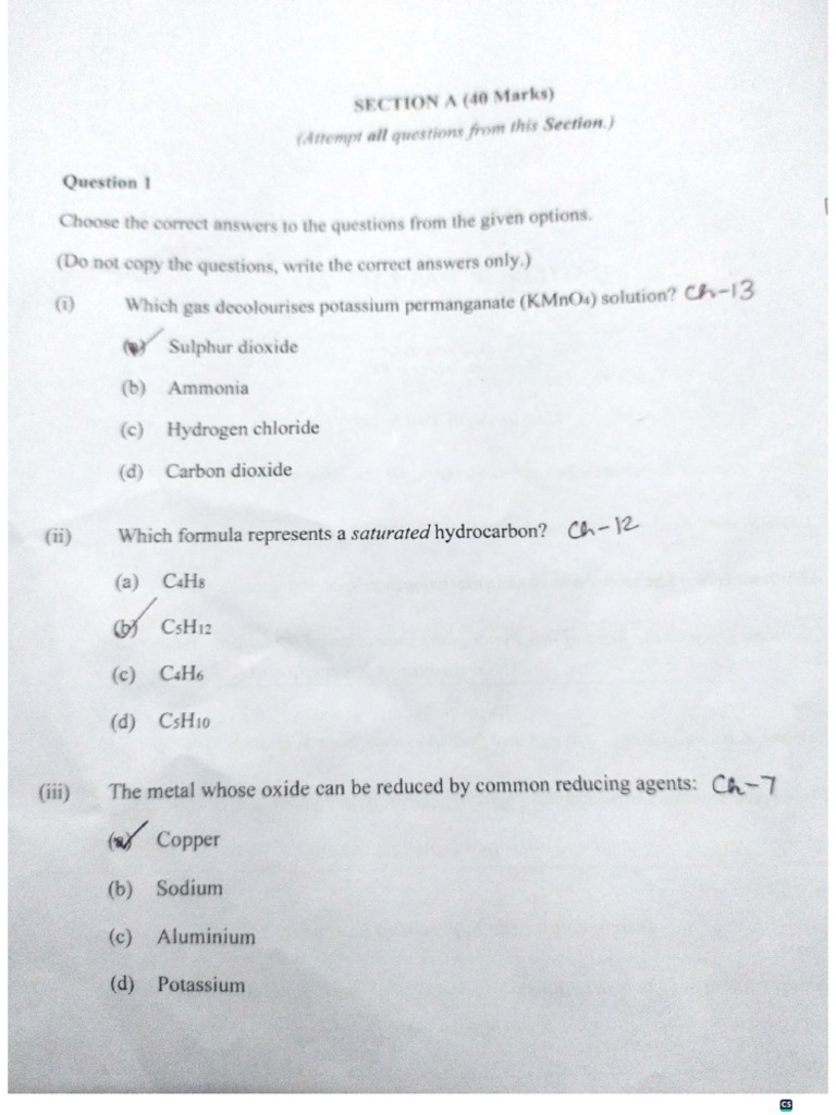 Sample Paper | PDF
