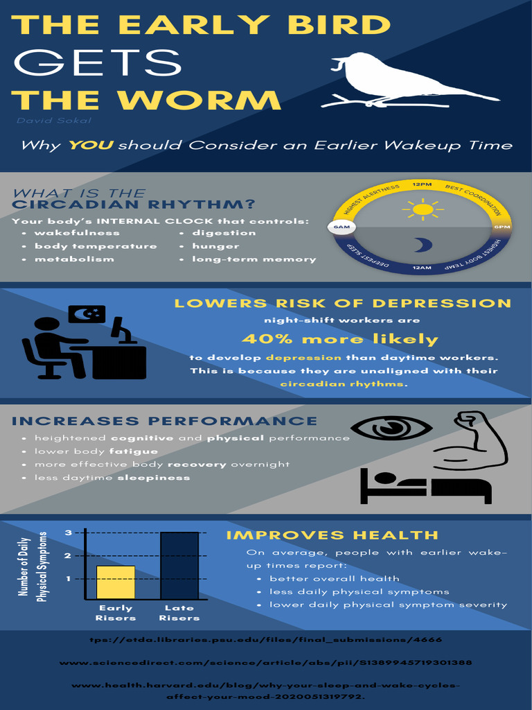 English Infographic | PDF