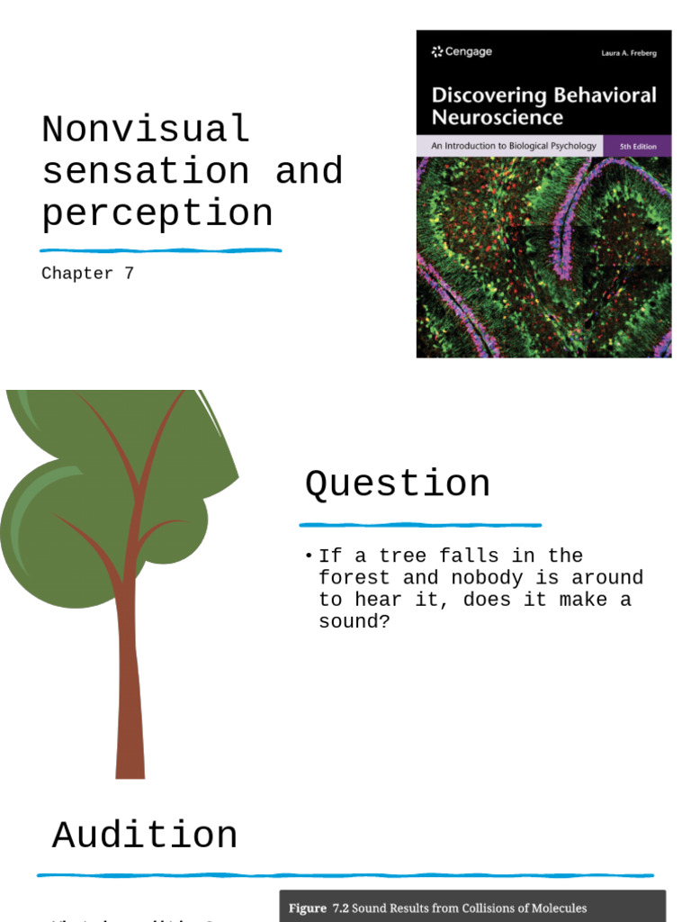 Nonvisual Sensation and Perception (CH 7) | PDF | Auditory System | Ear