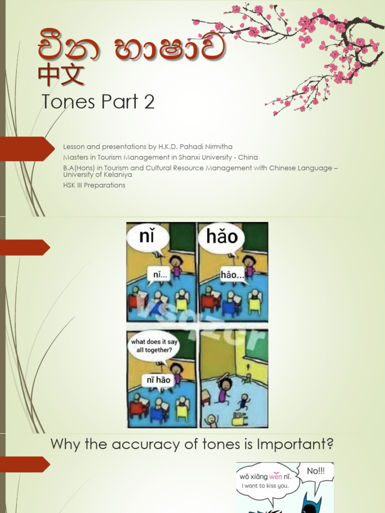 Mastering Chinese Tones and Pronunciation | PDF | Linguistics