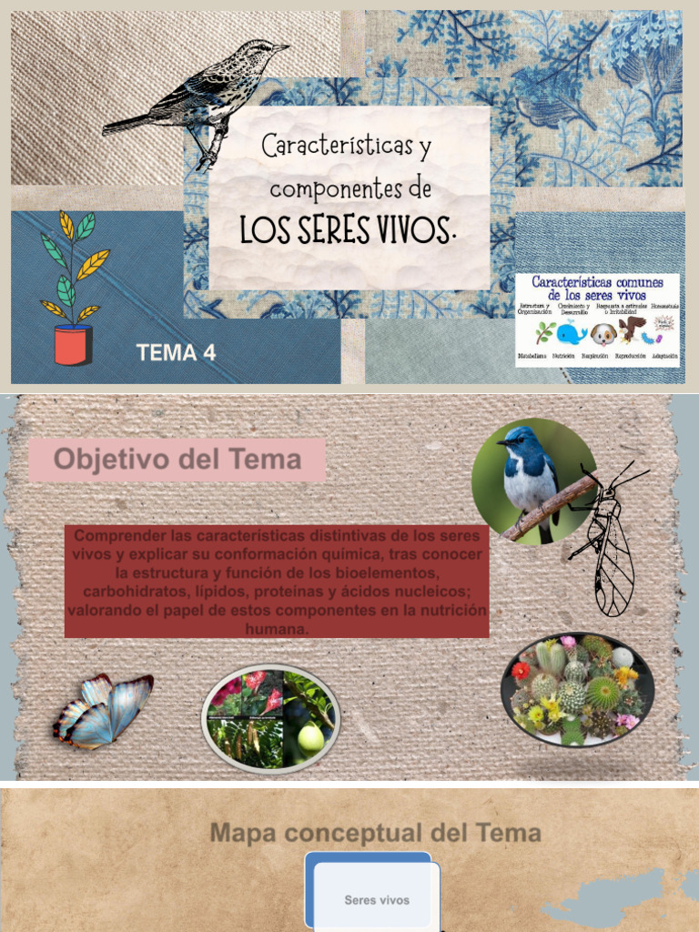 Características y Composición de los Seres Vivos | PDF | Organismos ...