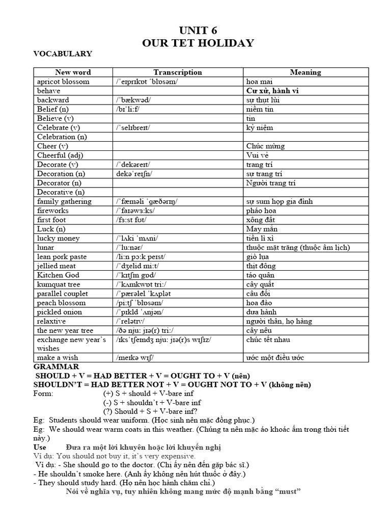 Unit 6 Our Tet Holiday Pdf
