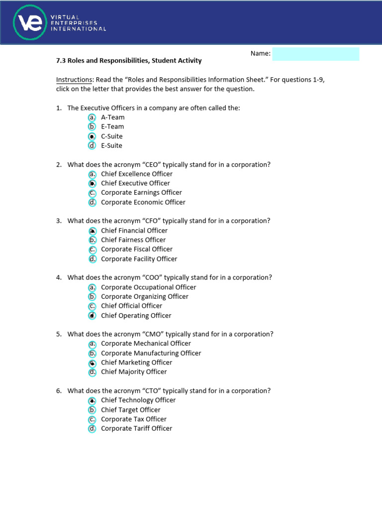 7.3 Roles and Responsibilities Student Activity | PDF | Chief Executive ...