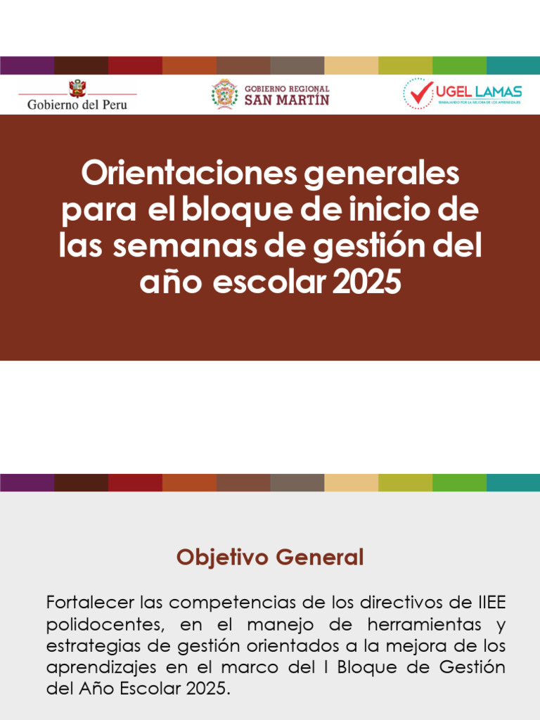 Orientaciones para la Gestión Escolar 2025 | PDF | Plan de estudios ...