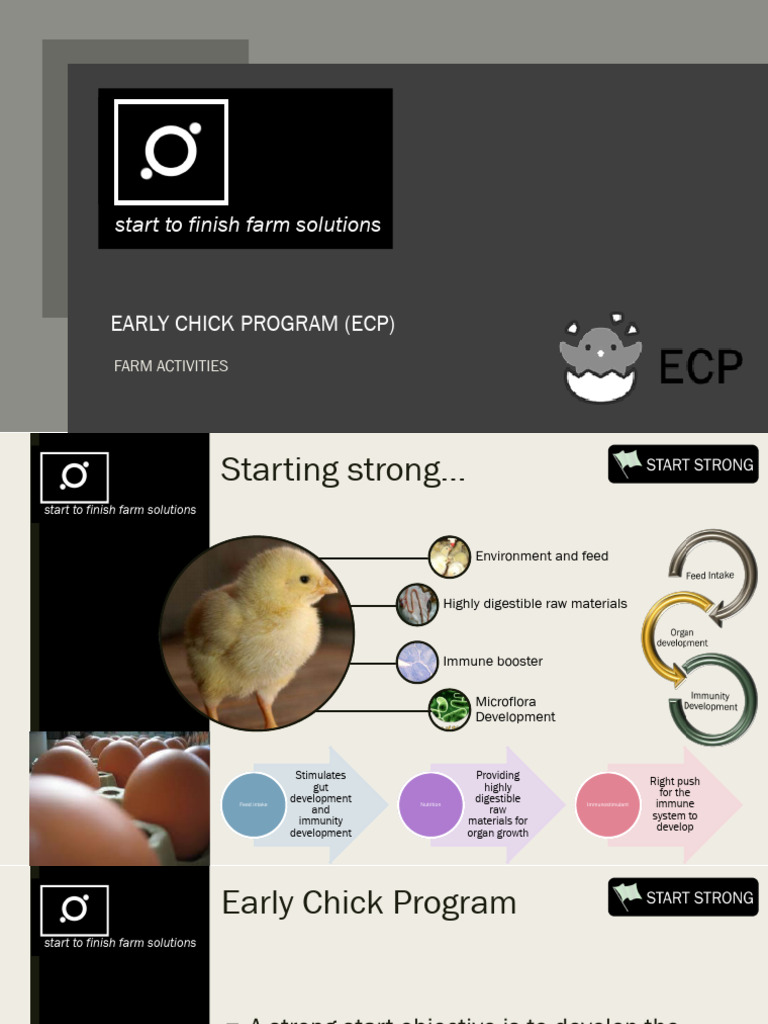 ECP Broiler-Doc Alex | PDF | Small Intestine