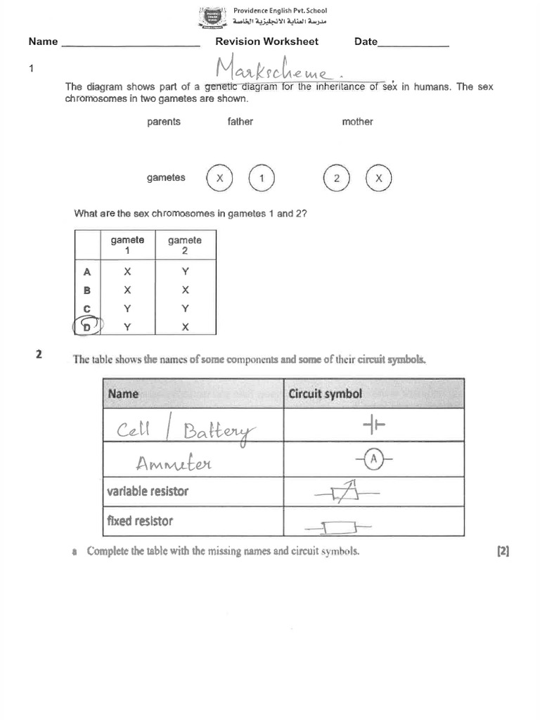 Yr 9 Markscheme Revision Worksheet | PDF