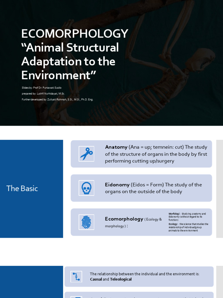 Ecomorphology: Animal Adaptations Explained | PDF | Fish | Biology