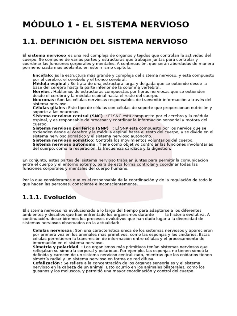 Estructura y Función del Sistema Nervioso | PDF | Sinapsis | Sistema ...