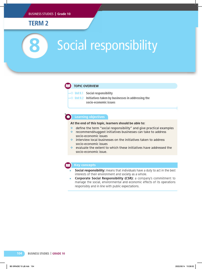 Grade 10 Business Studies: Social Responsibility | PDF | Corporate ...