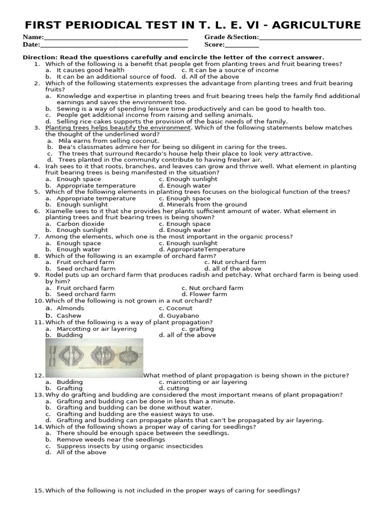 TLE VI Agriculture Test Questions | PDF | Grafting | Fertilizer