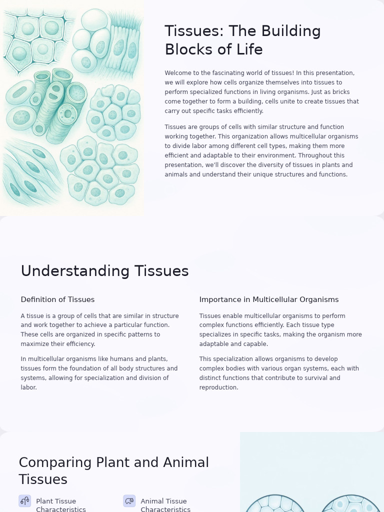 Understanding Plant and Animal Tissues | PDF | Epithelium | Tissue ...
