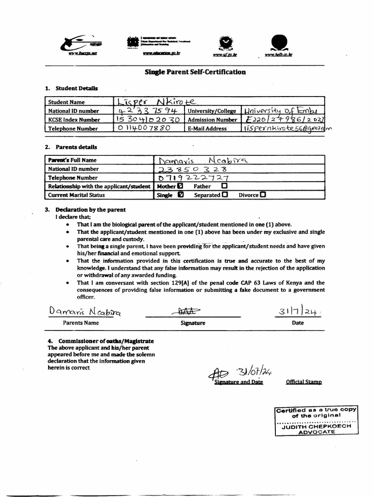 Single Parent Declaration20250731_17252370 | PDF