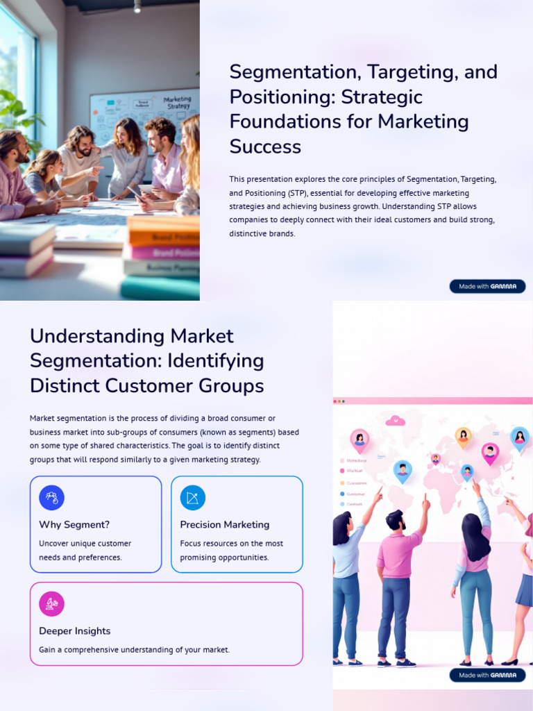 Segmentation Targeting and Positioning Strategic Foundations For ...