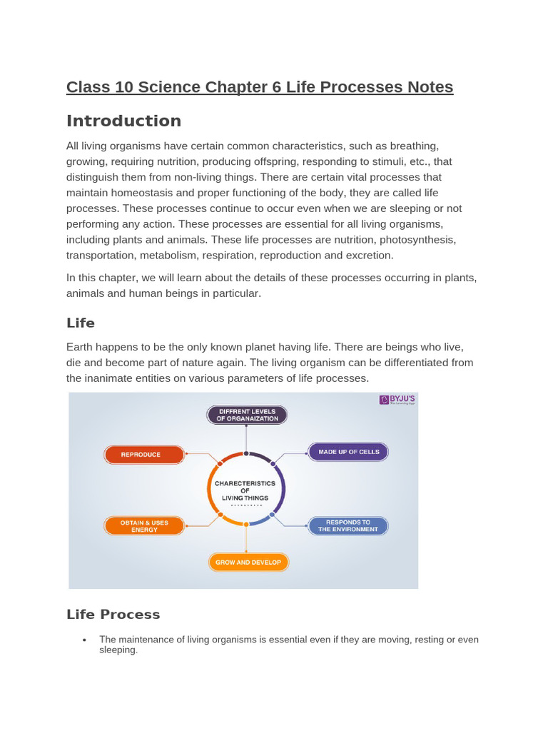 Class 10 Science Life Processes Notes | PDF | Digestion | Pancreas