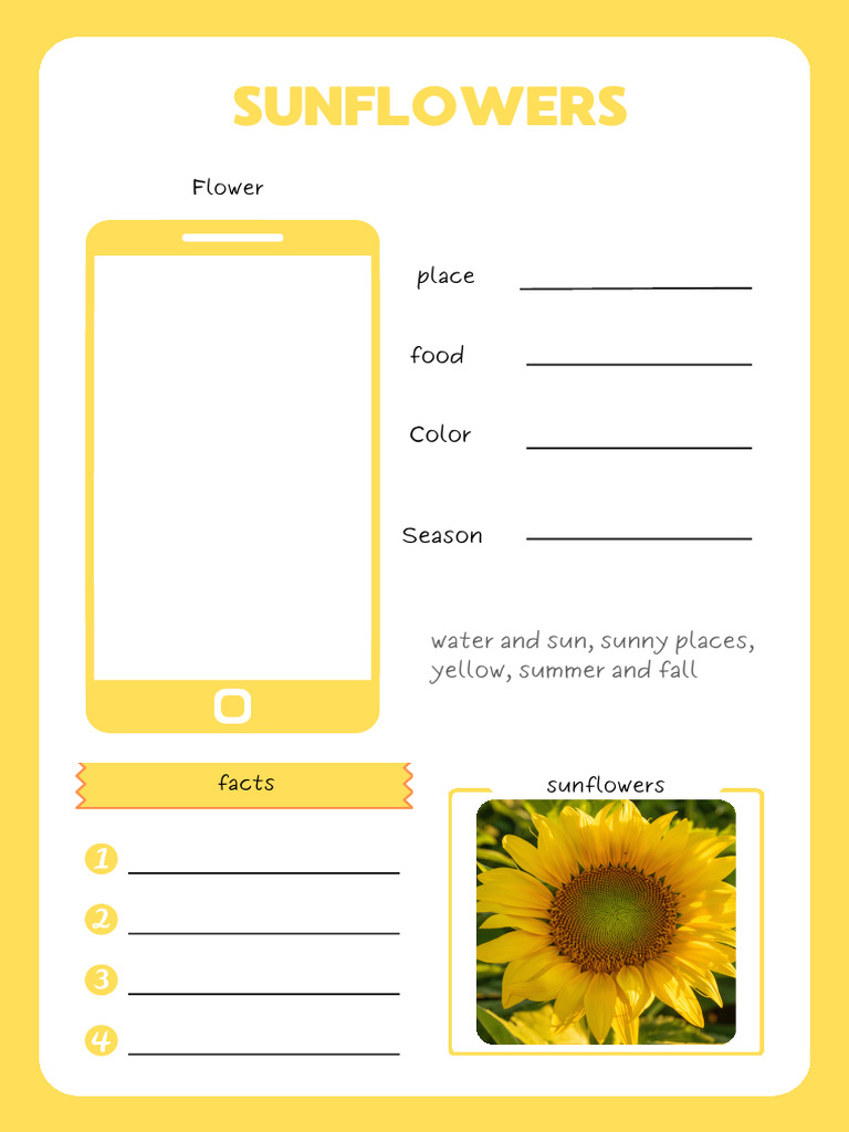 Fun Facts About Sunflowers and Hydrangeas | PDF