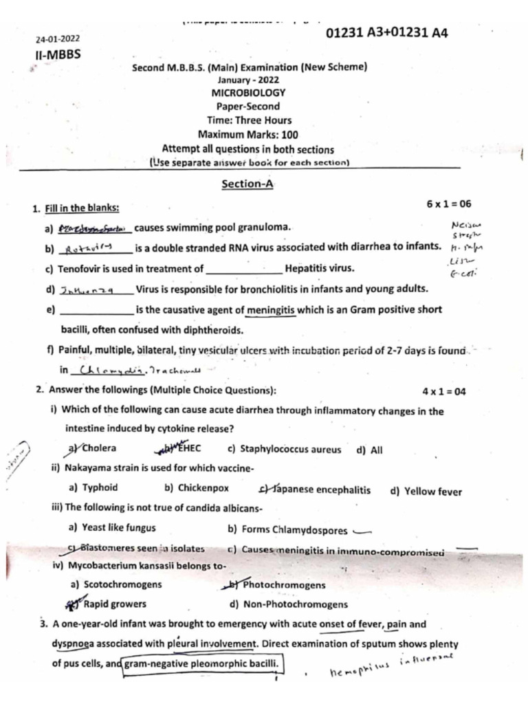 2nd Year PYQs (2019-2022) - Compressed | PDF