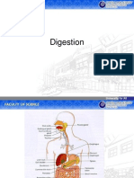 85325383 Sistem Pencernaan Digestion System