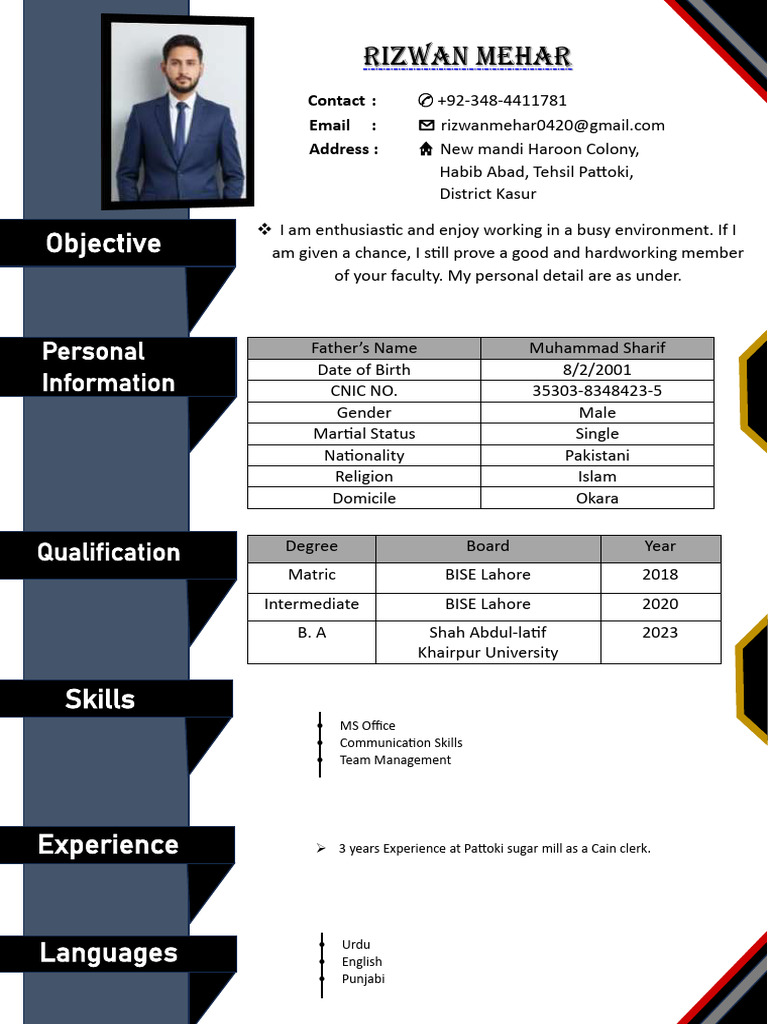 Rizwan Mehar's CV and Contact Details | PDF