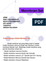 24646893-membran-sel