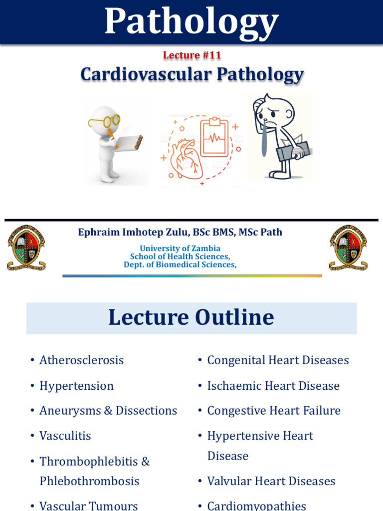 Cardiovascular Pathology Overview | PDF | Congenital Heart Defect ...