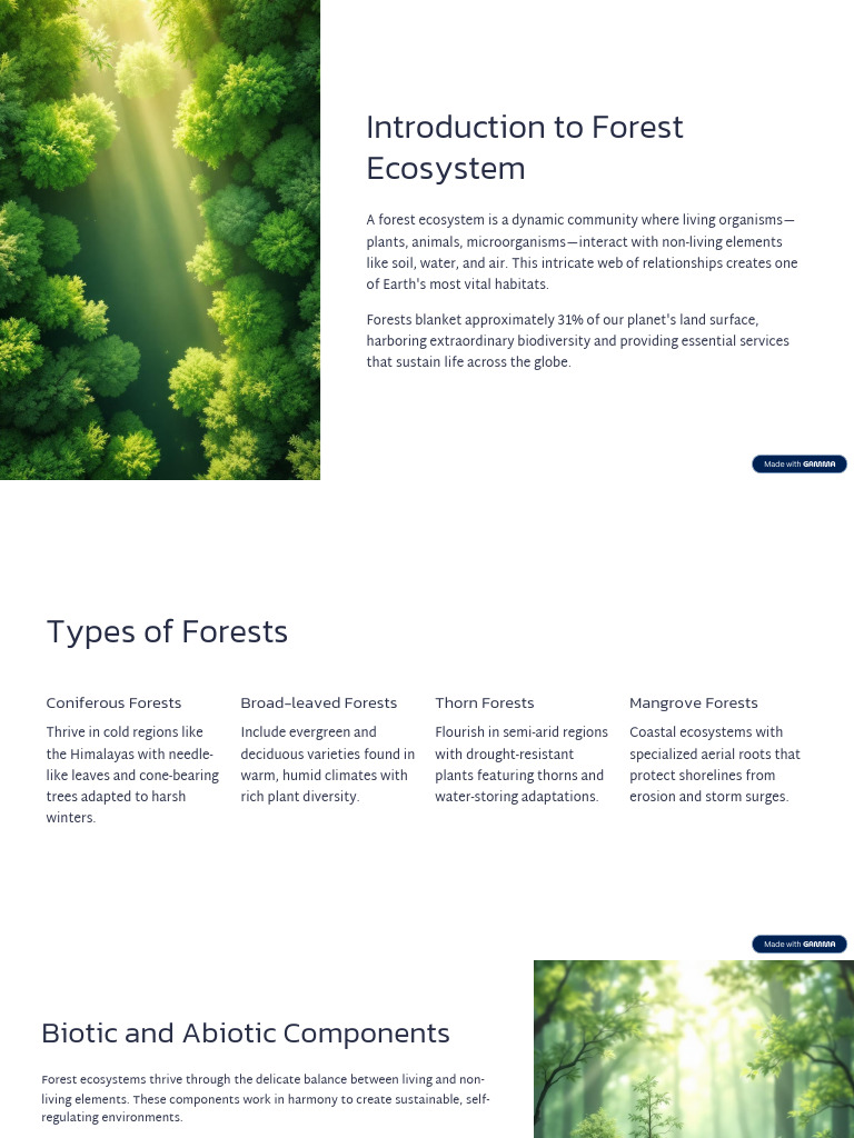 Understanding Forest Ecosystems | PDF | Ecosystem | Forests