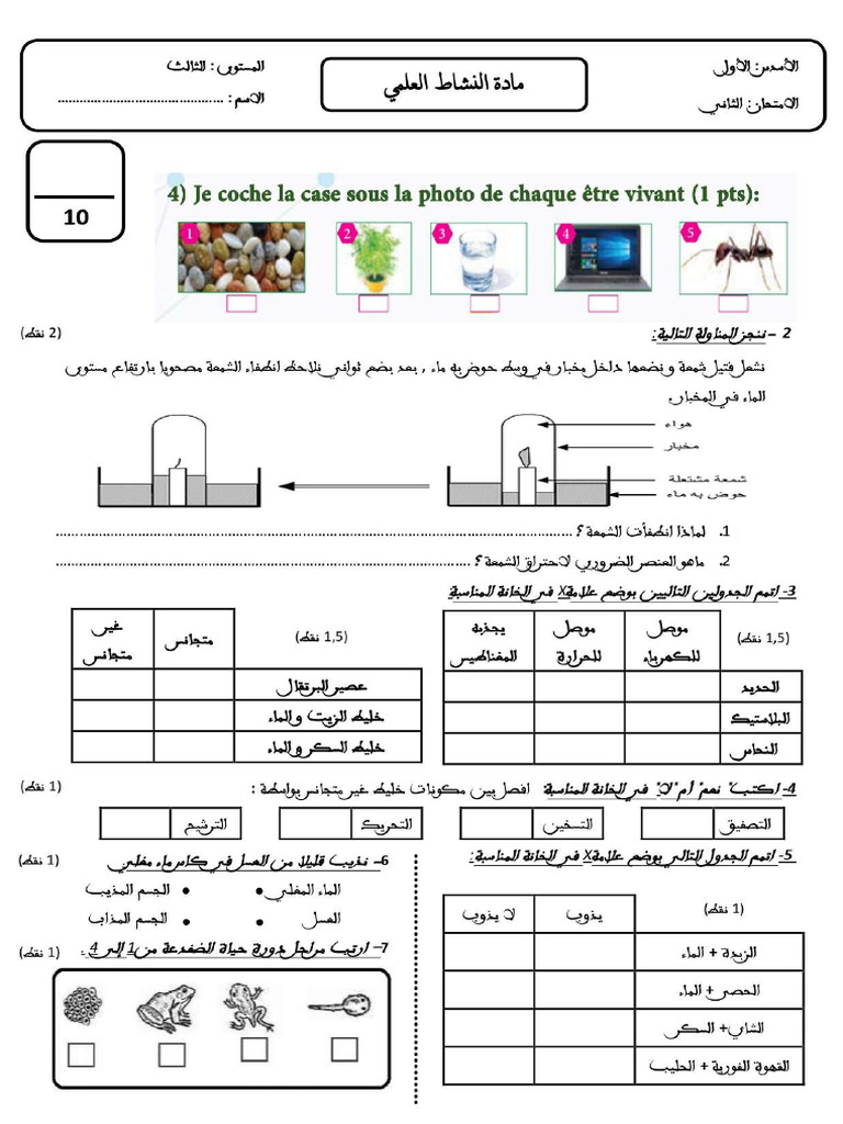 النشاط العلمي م 3 رقم 2 | PDF