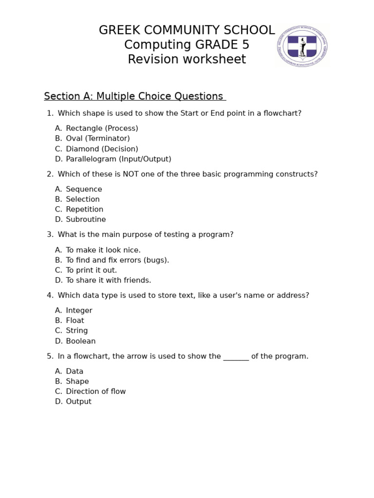 Grade 5 Computing Revision Worksheet | PDF | Computer Program | Programming