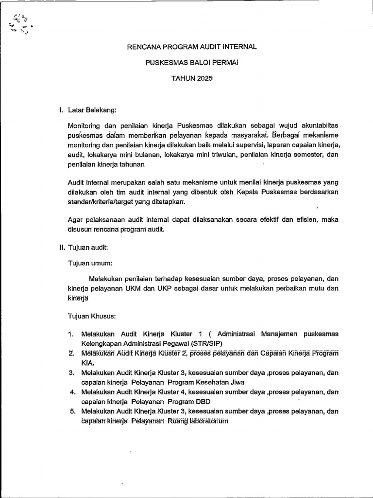 Rencana Kerja Audit Internal Tahun 2025 | PDF
