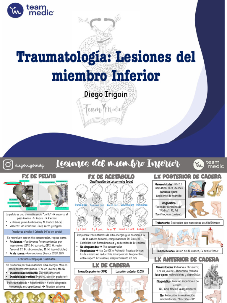 Lesiones Comunes del Miembro Inferior | PDF | Rodilla | Anatomía humana