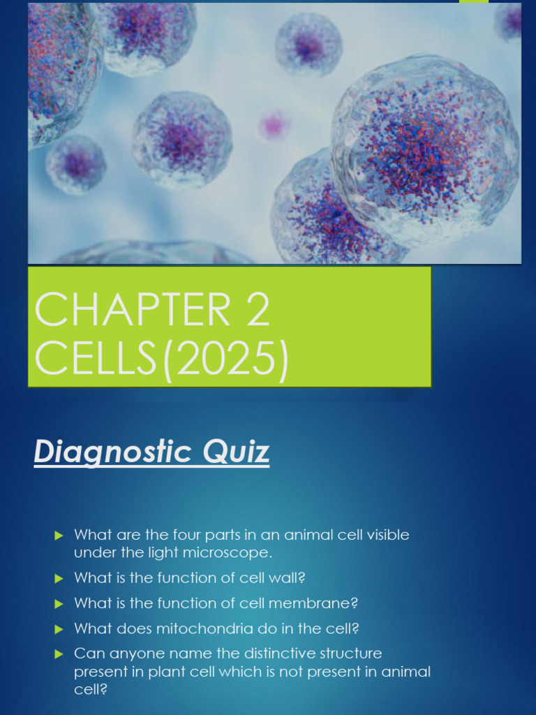 Understanding Animal and Plant Cells | PDF | Cell (Biology) | Cytoplasm