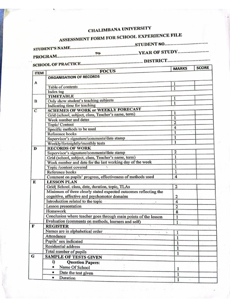 File Observation Instrument | PDF