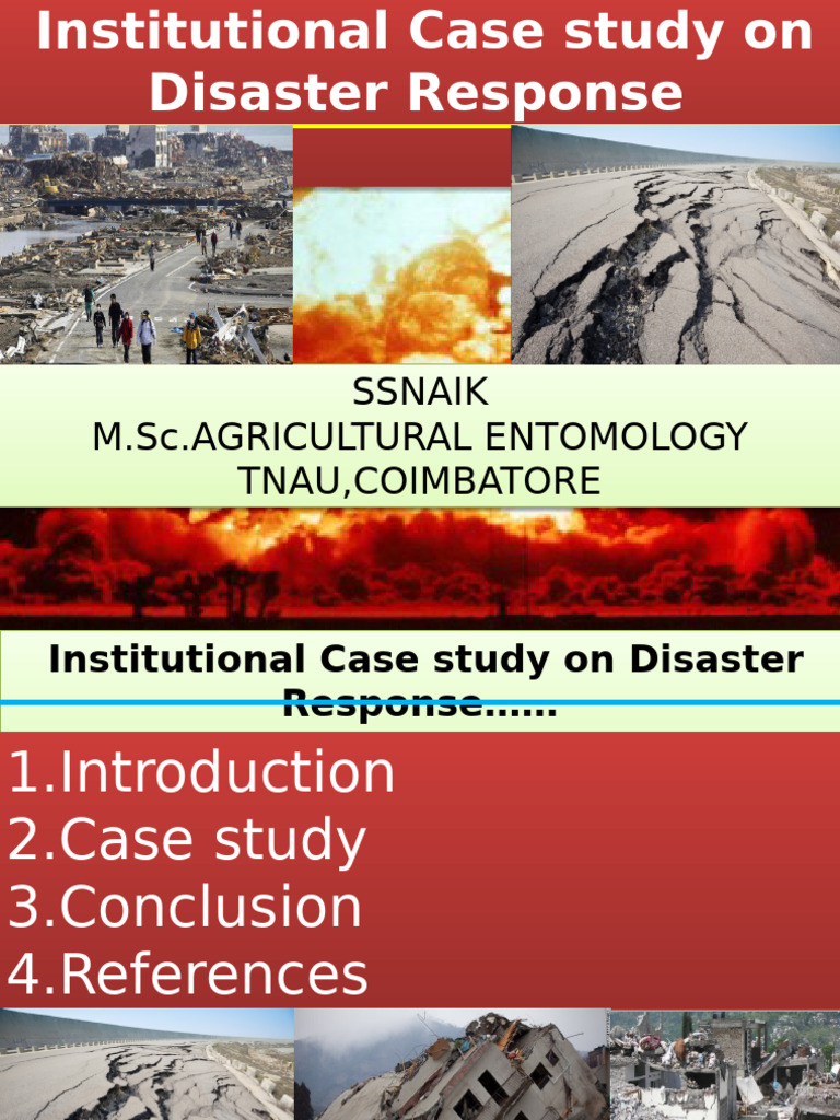 Institutional Disaster Response Case Study | PDF | Non Governmental ...