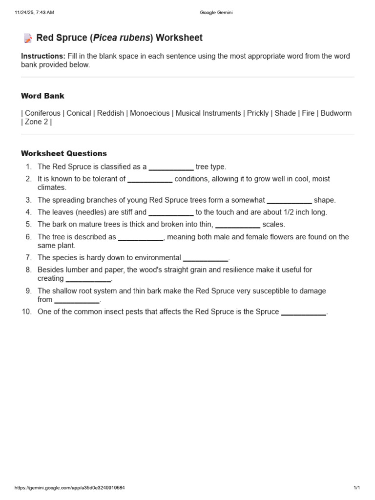 Red Spruce Tree Characteristics Worksheet | PDF