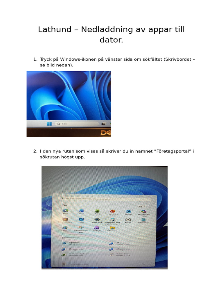 Lathund - Nedladdning Av Appar Till Dator. Nytt | PDF