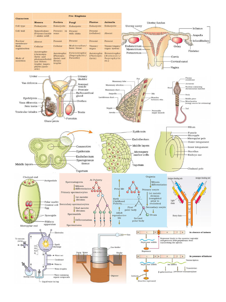 Wall Decor | PDF